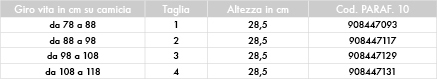 1373640275 31  Rachide dorsale e lombare - Cintura addominale steccata