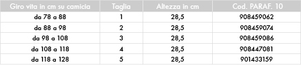 1373640693 32  Rachide dorsale e lombare - Cintura lombare steccata