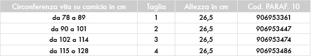 1373641224 36  Rachide dorsale e lombare - Cintura Action V