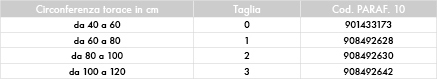 1373641581 40  Rachide dorsale e lombare - Sostegno Dorso